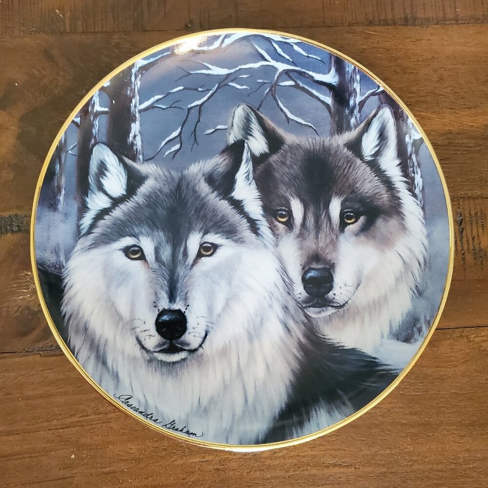 Eyes of Winter Porcelain Plate by Cassandra Graham The Franklin Mint